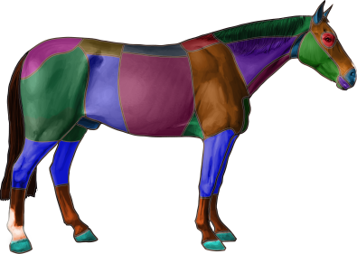 horse