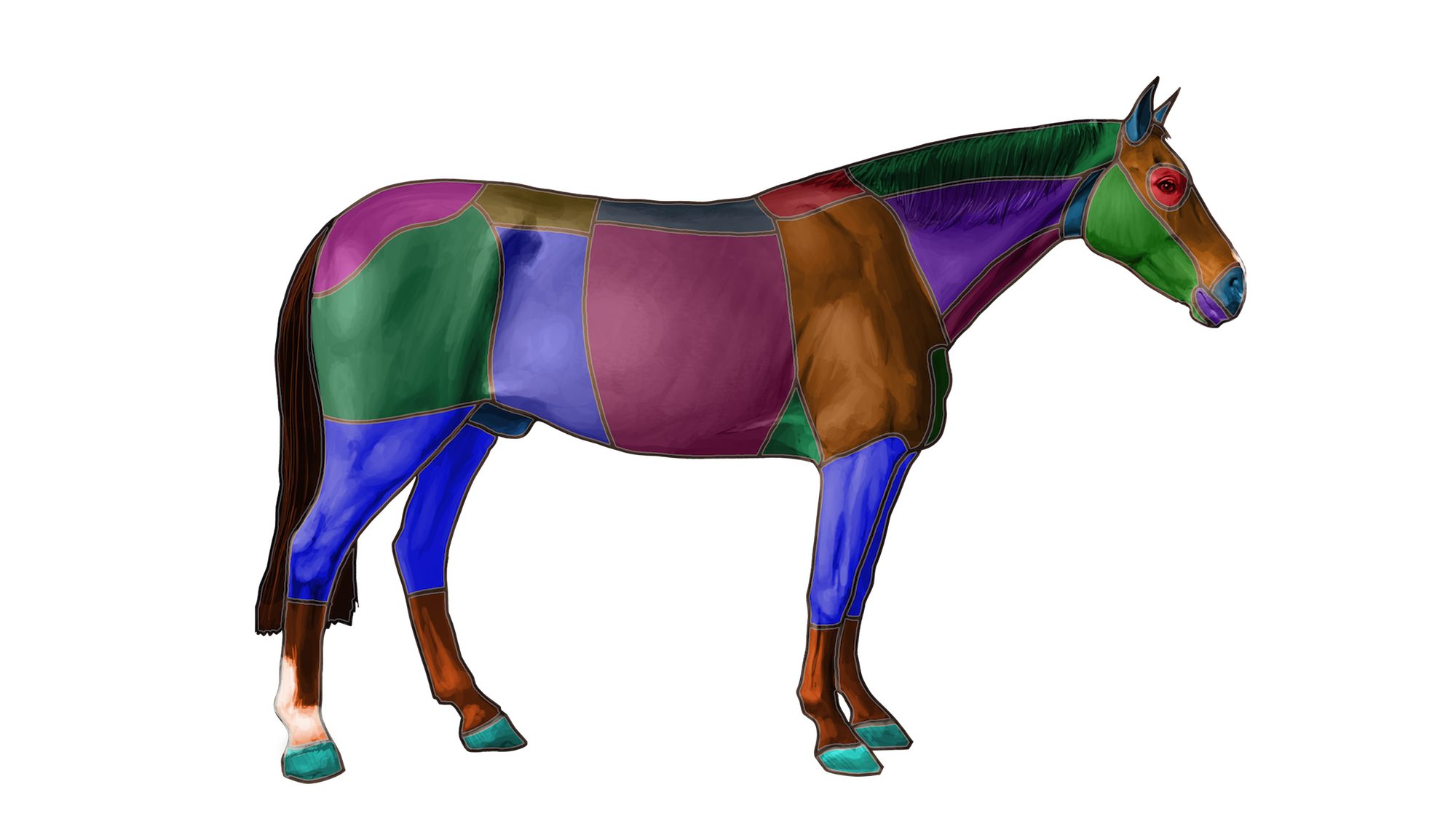 You can search our website for information using our equine models. This is just one of many features we will add to the mobile app in the future.