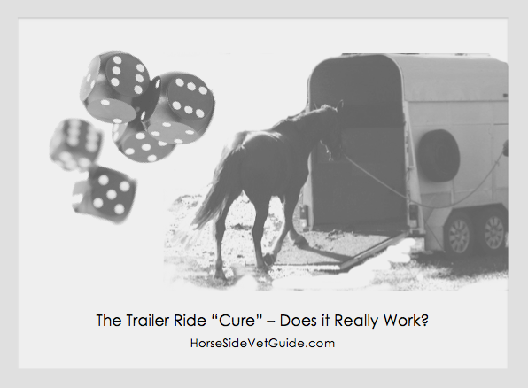 Horse loading onto a trailer because of colic